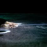 Le Musée de la nature et des sciences de Sherbrooke présente des activités spéciales idéal pour les couples en automne